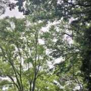 ヒメ日記 2025/01/24 15:07 投稿 ちえ 熟女家 豊中蛍池店