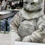 ヒメ日記 2025/11/14 14:45 投稿 ちえ 熟女家 豊中蛍池店