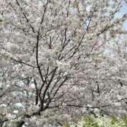 ヒメ日記 2026/04/05 17:21 投稿 ちえ 熟女家 豊中蛍池店