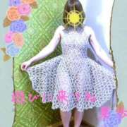 ヒメ日記 2026/03/03 14:50 投稿 岸原果歩(きしはらかほ) 五十路マダム福知山店(カサブランカグループ)