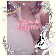 ヒメ日記 2025/03/04 19:04 投稿 さくら 熟女の風俗最終章　越谷店