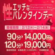 ヒメ日記 2025/02/14 12:46 投稿 あゆ One More奥様　横浜関内店