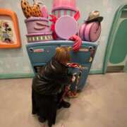 ヒメ日記 2025/03/18 08:20 投稿 まなか New Sky