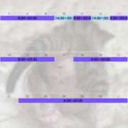 ヒメ日記 2025/03/24 11:16 投稿 まなか New Sky