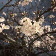 ヒメ日記 2025/03/29 08:43 投稿 まなか New Sky