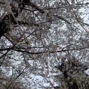 ヒメ日記 2025/04/09 10:37 投稿 まなか New Sky