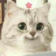 ヒメ日記 2025/05/07 08:34 投稿 まなか New Sky