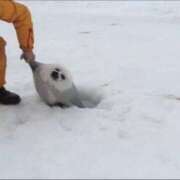 ヒメ日記 2025/05/12 09:00 投稿 まなか New Sky