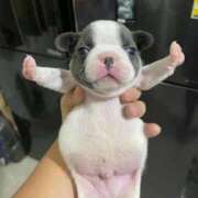 ヒメ日記 2025/07/07 11:09 投稿 まなか New Sky