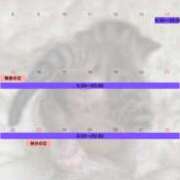 ヒメ日記 2025/08/17 11:03 投稿 まなか New Sky