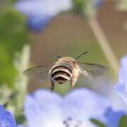 ヒメ日記 2025/08/29 07:29 投稿 まなか New Sky