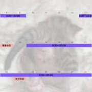 ヒメ日記 2025/09/05 08:32 投稿 まなか New Sky