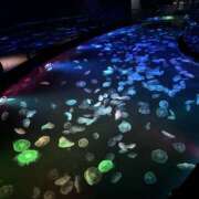 ヒメ日記 2025/09/06 08:42 投稿 まなか New Sky