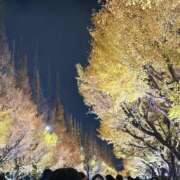 ヒメ日記 2025/11/25 10:28 投稿 まなか New Sky