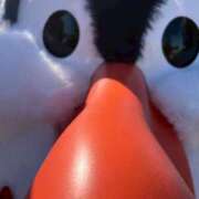 ヒメ日記 2026/01/16 08:43 投稿 まなか New Sky