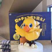 ヒメ日記 2026/03/29 20:40 投稿 まなか New Sky