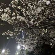 ヒメ日記 2026/04/02 10:57 投稿 まなか New Sky