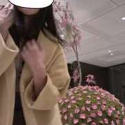 ヒメ日記 2026/03/27 13:19 投稿 宝来 真千子 東京貴楼館