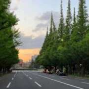 ヒメ日記 2025/10/12 07:49 投稿 あさひ ニュー姫