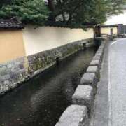 ヒメ日記 2025/11/13 07:35 投稿 あさひ ニュー姫