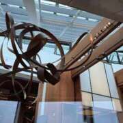 ヒメ日記 2025/11/19 07:45 投稿 あさひ ニュー姫