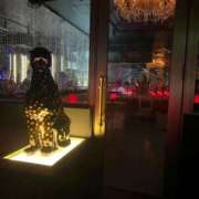 ヒメ日記 2025/12/10 07:35 投稿 あさひ ニュー姫