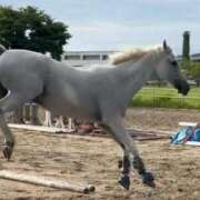 ヒメ日記 2026/01/06 07:45 投稿 あさひ ニュー姫