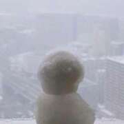 ヒメ日記 2026/02/08 11:05 投稿 あさひ ニュー姫