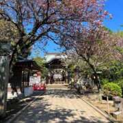 ヒメ日記 2026/03/03 07:45 投稿 あさひ ニュー姫