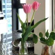 ヒメ日記 2026/03/11 07:35 投稿 あさひ ニュー姫