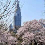 ヒメ日記 2026/03/28 07:47 投稿 あさひ ニュー姫