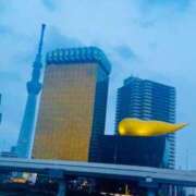 ヒメ日記 2026/03/31 07:45 投稿 あさひ ニュー姫