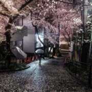 ヒメ日記 2026/04/02 07:35 投稿 あさひ ニュー姫