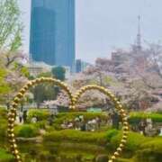 ヒメ日記 2026/04/06 07:35 投稿 あさひ ニュー姫