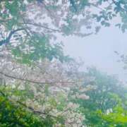 あさひ 4/7(火)ありがとうございました❤️ ニュー姫