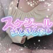 ヒメ日記 2023/10/29 12:16 投稿 もこ 香川高松ちゃんこ