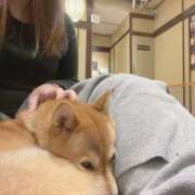 ヒメ日記 2025/12/20 17:31 投稿 るい 僕らのぽっちゃリーノin越谷