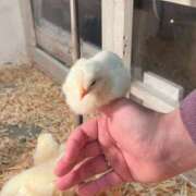 ヒメ日記 2025/11/25 21:10 投稿 るい 僕らのぽっちゃリーノin野田