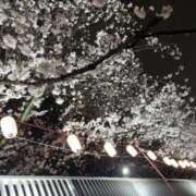 ヒメ日記 2025/04/04 19:02 投稿 いお 奥様特急　池袋・大塚店