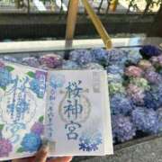 ヒメ日記 2025/06/19 15:50 投稿 いお 奥様特急　池袋・大塚店