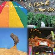 ヒメ日記 2025/11/12 20:00 投稿 いお 奥様特急　池袋・大塚店