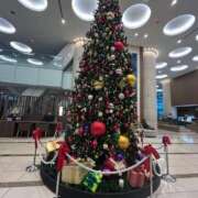 ヒメ日記 2025/12/08 12:49 投稿 いお 奥様特急　池袋・大塚店