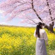 ヒメ日記 2026/03/29 15:20 投稿 いお 奥様特急　池袋・大塚店