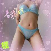 ヒメ日記 2025/02/08 05:11 投稿 楓（かえで） DAHLIA(ダリア)