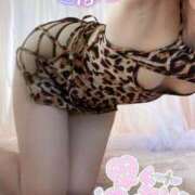 ヒメ日記 2025/03/05 08:16 投稿 楓（かえで） DAHLIA(ダリア)