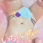 ヒメ日記 2025/03/06 06:27 投稿 楓（かえで） DAHLIA(ダリア)