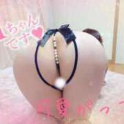 ヒメ日記 2025/04/18 17:36 投稿 楓（かえで） DAHLIA(ダリア)