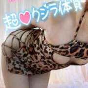 ヒメ日記 2025/05/04 15:49 投稿 楓（かえで） DAHLIA(ダリア)