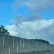 ヒメ日記 2025/06/25 18:46 投稿 楓（かえで） DAHLIA(ダリア)