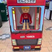 ヒメ日記 2025/08/08 10:26 投稿 楓（かえで） DAHLIA(ダリア)